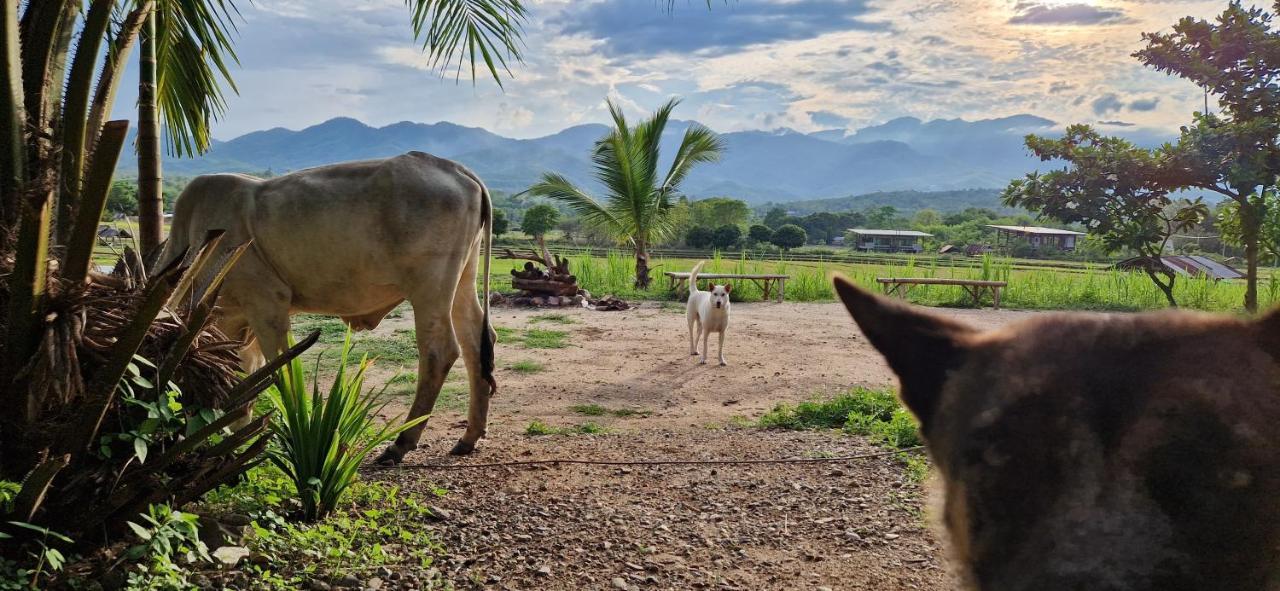 Hostal Atlas Valley (adults Only) Pai