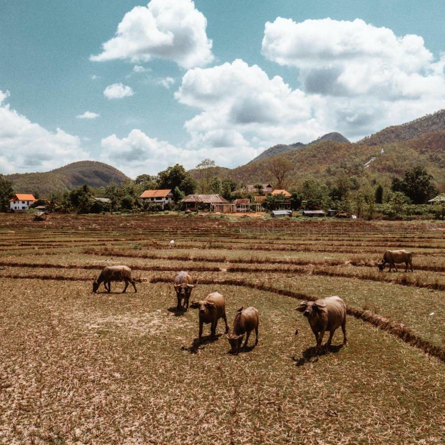 Atlas Valley (adults Only) * Pai